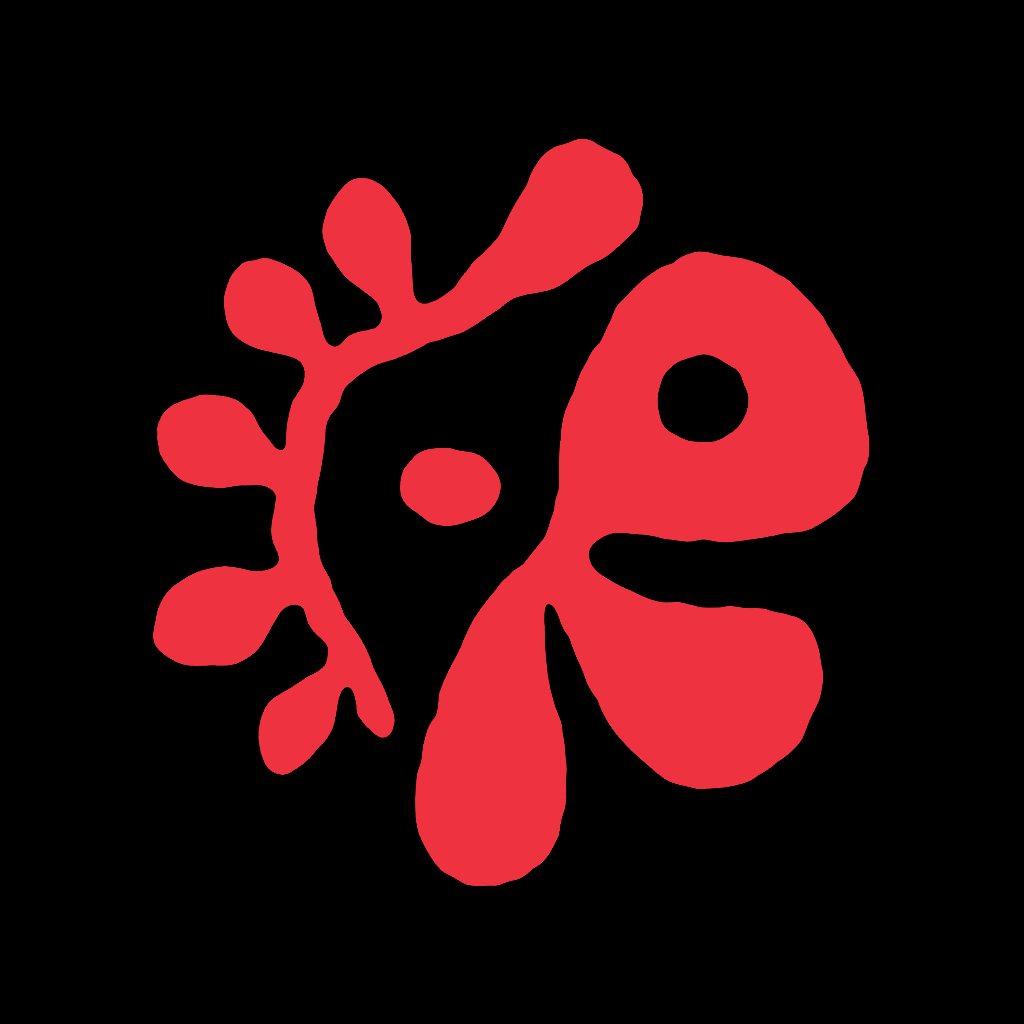 PYPD app icon